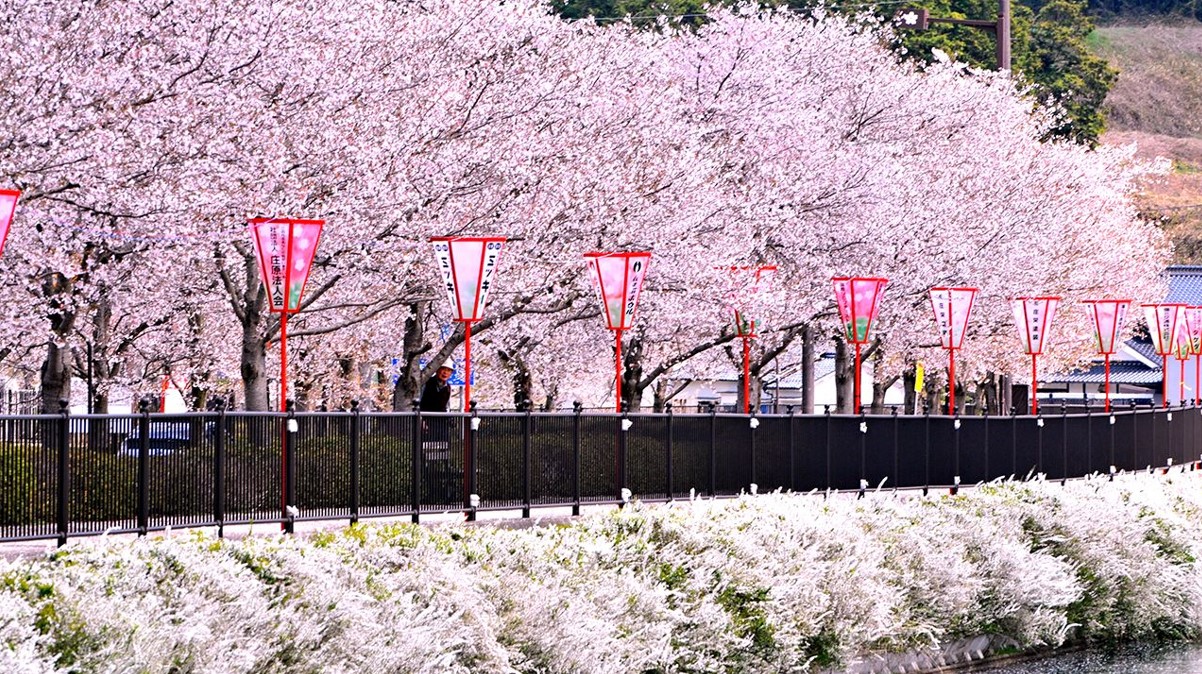 Ueno Park, Top-Rated Japan Outdoors, Tourist Attractions & Top Sights
