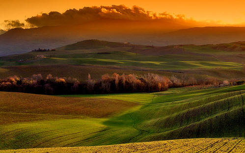 [Toscana+autunno00.jpg]