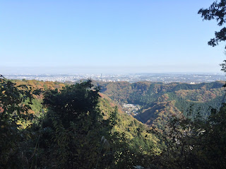 Mount Takao fall