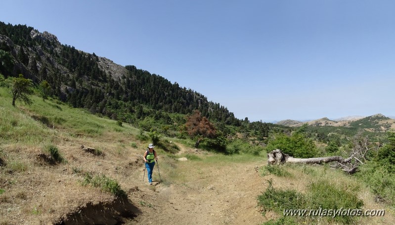 Quejigales-Tajo del Canalizo-Enamorados-Cerro Alto