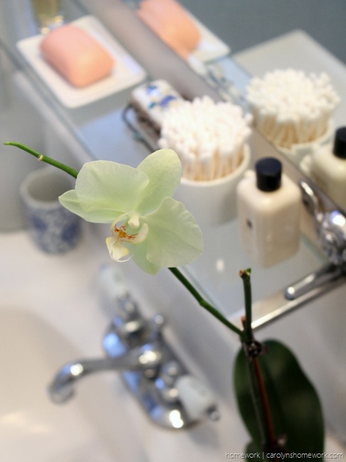 Delta Shower Door & Bathroom Makeover via homework - carolynshomework (1)