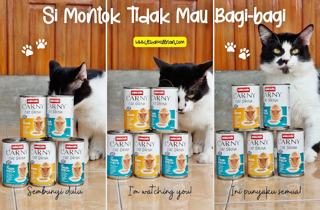 Minuman Kucing Animonda Carny Cat Drink