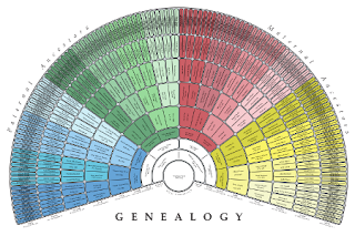 Genealogický vějířovitý diagram předků - šablona