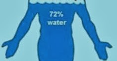 The Wealth of Health: Human body is 70 percent water