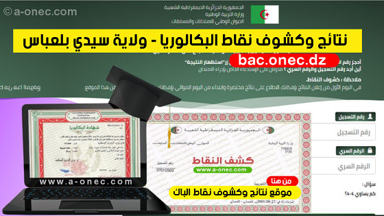 نتائج شهادة البكالوريا résultats du bac - مديرية التربية لولاية سيدي بلعباس - موقع نتائج البكالوريا - bac onec dz - وزارة التربية - كشوف نقاط البكالوريا - التسجيلات الجامعية - موقع الدراسة الجزائري - موقع البكالوريا في الجزائر جميع الشعب - مدونة التربية والتعليم