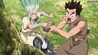 ドクターストーンアニメ 1期3話 石神千空 大木大樹 Dr. STONE Episode 3