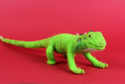 Posted by Caroline Gray at 9:42 AM 2 comments: (iguana)