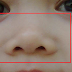 Gambar Hidung Manusia Dan Fungsinya