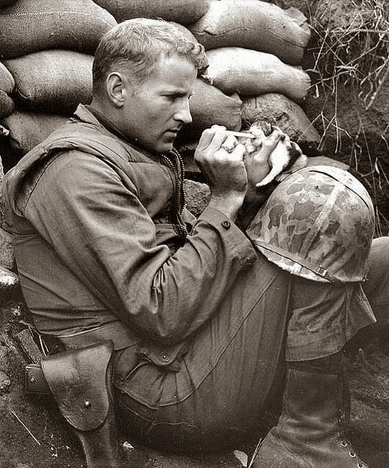Sergeant Frank Praytor looks after a two-week old kitten during the height of the Korean War. - The 63 Most Powerful Photos Ever Taken That Perfectly Capture The Human Experience