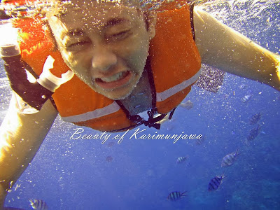 wisata air, karimunjawa, diving karimunjawa, menyelam karimunjawa, taman laut karimunjawa