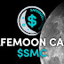 SafeMoon Cash - token baseado na comunidade usando a tecnologia BinanceSmartChain