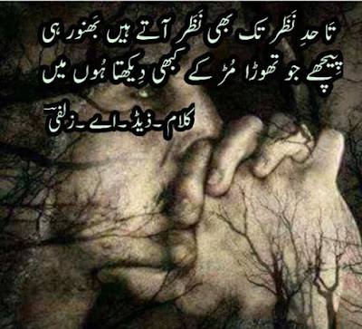 Urdu Poetry   Z A Zulfi