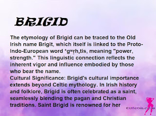 ▷ meaning of the name BRIGID (✔)