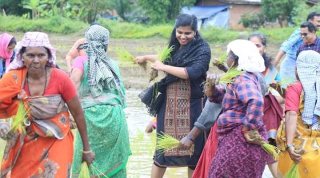 നാട്ടിയിൽ ചുവട് വെച്ച് സബ് കളക്ടർ ആർ.ശ്രീലക്ഷ്മി IAS.