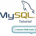 Bagaimana Cara Menggunakan Select Distinct Di MySQL
