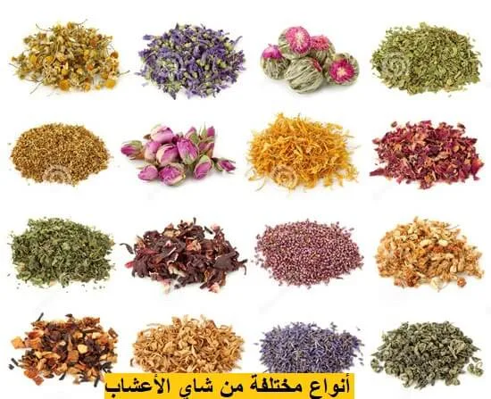 أنواع مختلفة من شاي الأعشاب