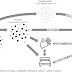 WHO Clears Air on Coronavirus Transmission Through Surface Contact