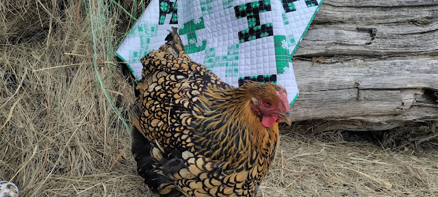 4-H quilt made with 4-H fabrics from JoAnn