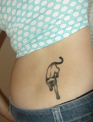 Crazy cat tattoo designs for women. Crazy cat tattoo designs for women