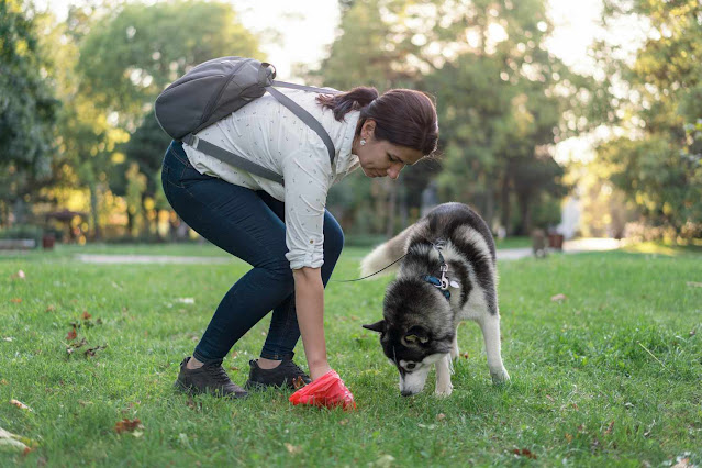 How to pick the top dog waste bags