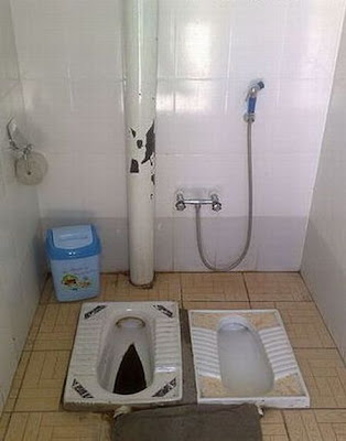 unusual toilets