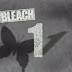 BLEACH [ESPAÑOL]  Capitulo 1 - El día que me convertí en Segador de Almas