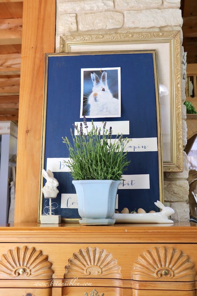 The indoors French lavender hides the words on the navy bulletin board