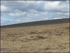 SDC11568