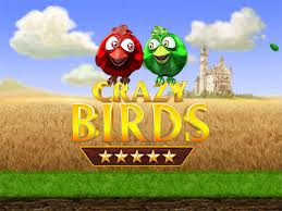 angry birds latest