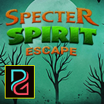 Palani Games Specter Spirit Escape Game 