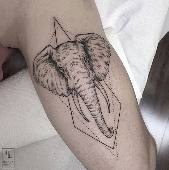 Esta auto-croquis de elefante design