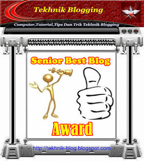 Senior Best Blog Award