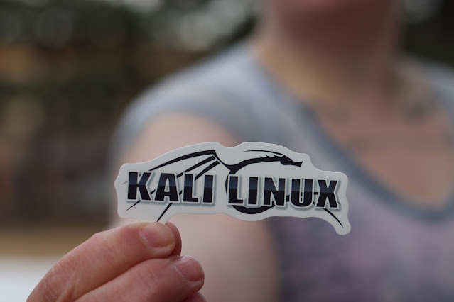 Kali Linux: How to Become a Hacker Without Knowing Anything