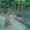 View album