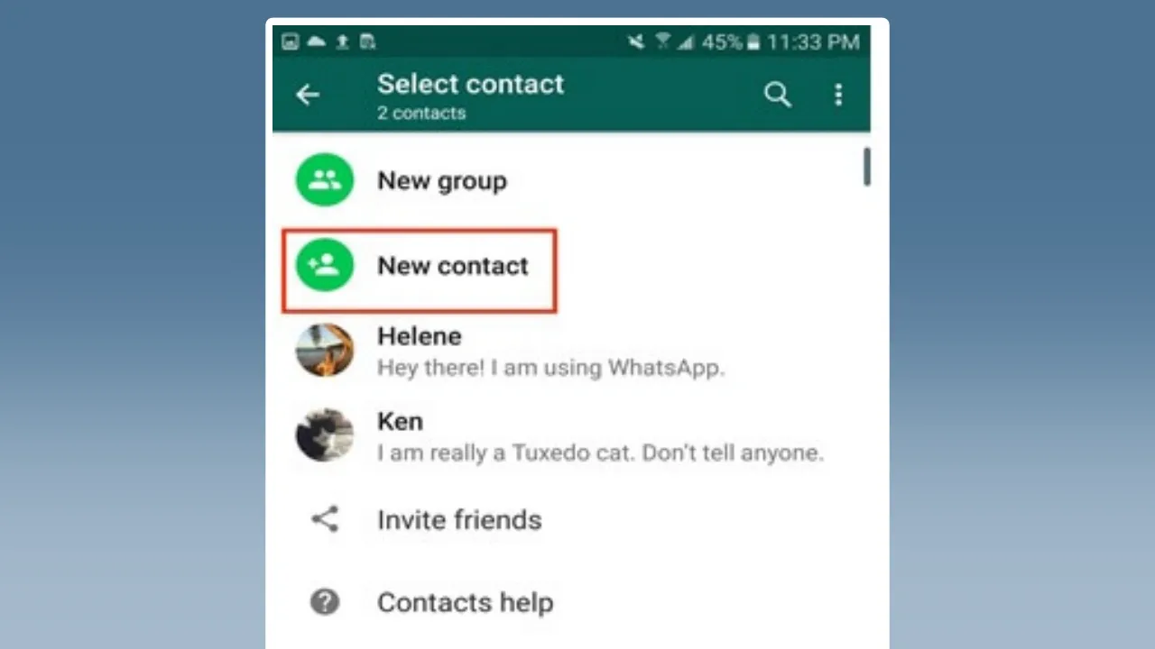 separar-contatos-whatsapp-business