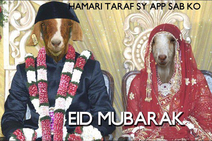 Bakra Eid Mubarak