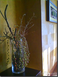 foto0023