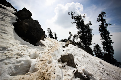 Morning sunlight reflection - Triund Trek