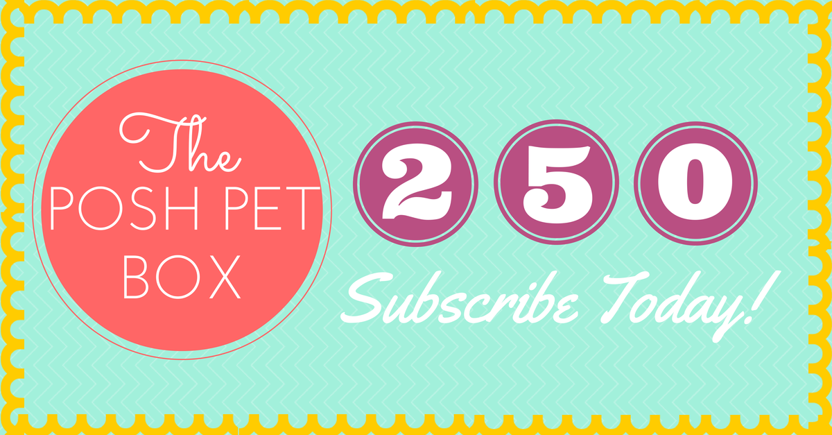 http://www.poshpetbox.com