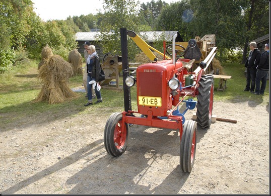 perinnepäivä kahari markkinat 009