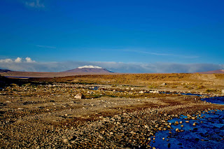 travel, tour, viagem, turismo, trip, bolivia, uyuni, salar, deserto, sal, reserva, reserve, National, Fauna, Avaroa, Eduardo, Laguna, Colorada, Lodge