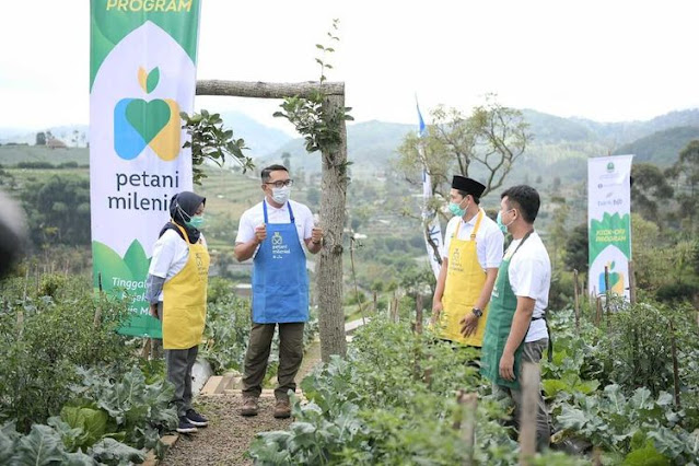 Apa Itu Program Petani Milenial?