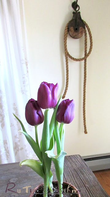 Fresh Tulips as a centerpiece for a spring table setting