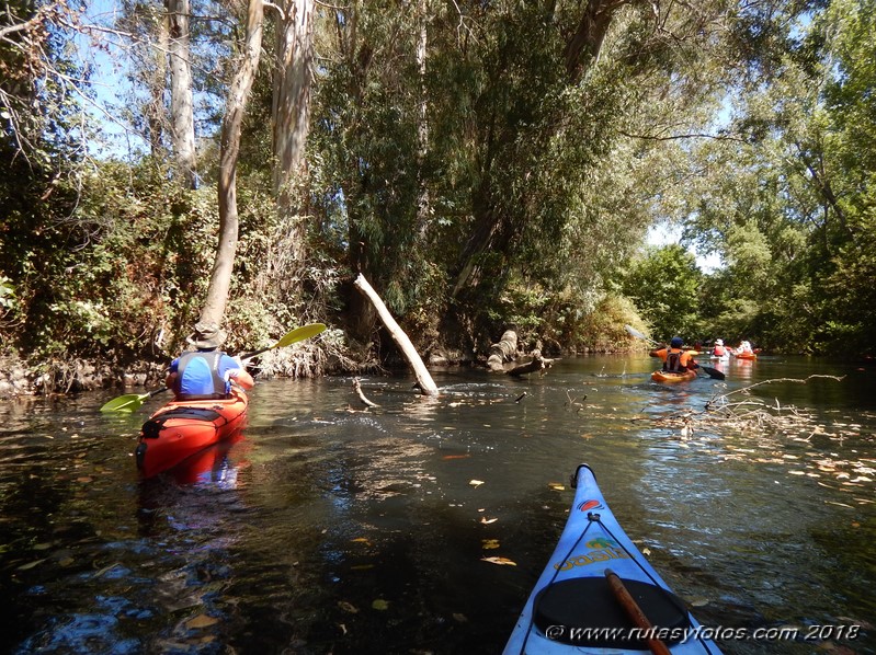 Kayak río Palmones