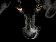 Black Dog Wallpapers for Desktop (black dog free desktop wallpaper)