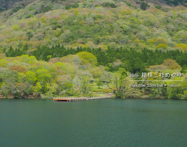 芦ノ湖から見た九頭龍の森の船着場