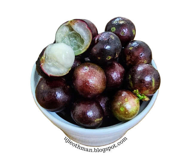 Buah Jabuticaba (Anggur Brazil)