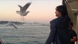 muhammad irfan catches seagull bird on boat