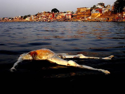 Sacred INDIAN RIVER Ganges