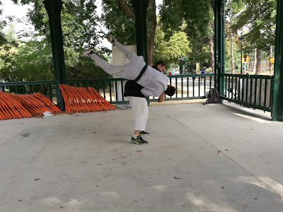 Technique Aikibudo koshi nage